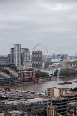 IMG_8803.jpg