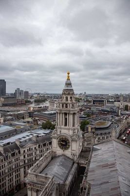 IMG_8806.jpg