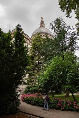 IMG_8911.jpg