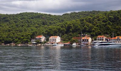 IMG_9181.jpg