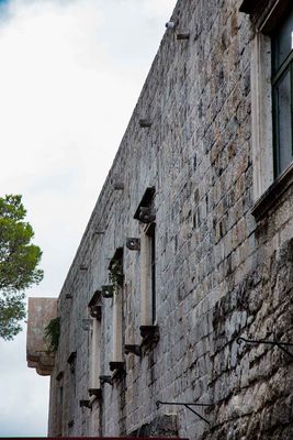 IMG_9239.jpg