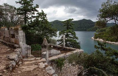 IMG_9255.jpg