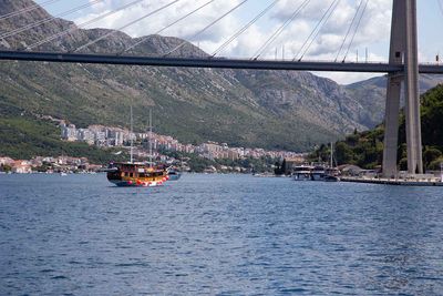 IMG_9296.jpg