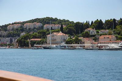 IMG_9313.jpg