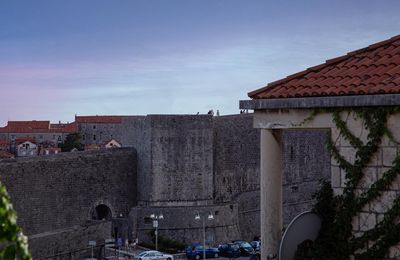 IMG_9353.jpg
