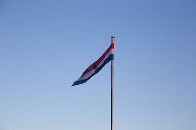 IMG_9365.jpg