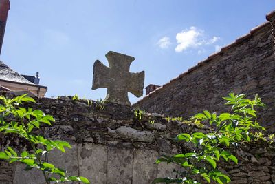 IMG_9466.jpg