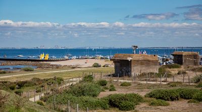 IMG_9498.jpg