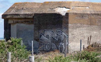 IMG_9502crop.jpg