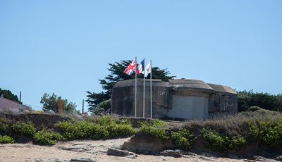 IMG_9514.jpg