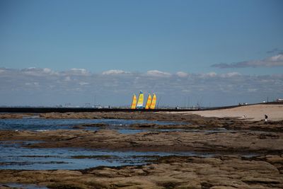 IMG_9516.jpg