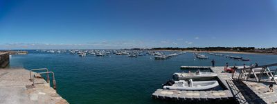 IMG_9518.jpg