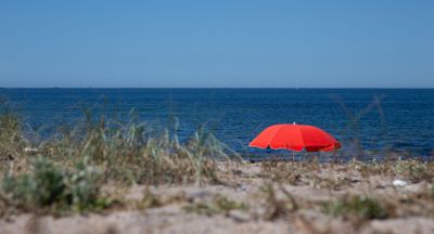 IMG_9525.jpg
