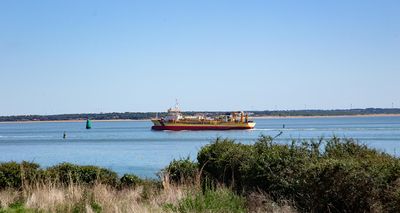 IMG_9555.jpg