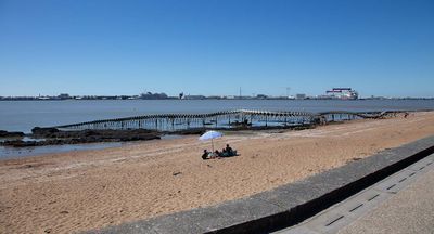IMG_9598.jpg
