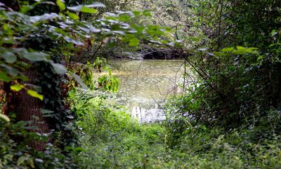 IMG_9645.jpg
