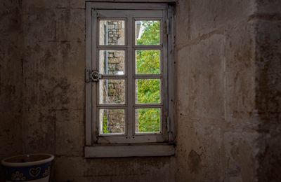 IMG_9669.jpg