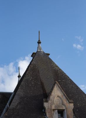 IMG_9681.jpg