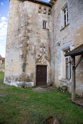 IMG_9685.jpg