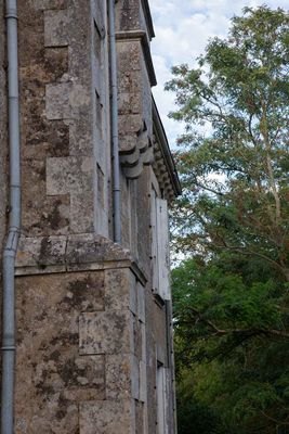 IMG_9709.jpg