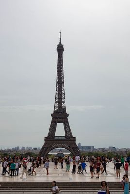 IMG_10176.jpg