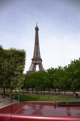 IMG_10191.jpg
