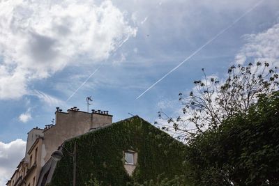 IMG_10290.jpg
