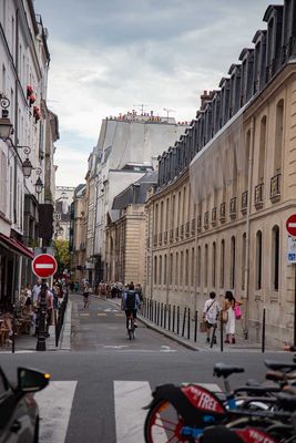 IMG_10639.jpg