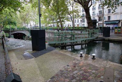 IMG_10750.jpg
