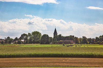 IMG_10840.jpg