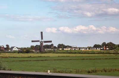 IMG_10897.jpg
