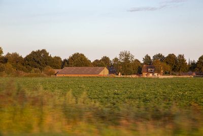 IMG_10912.jpg