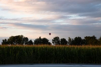 IMG_10913.jpg