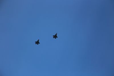 IMG_10965.jpg