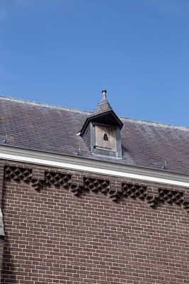 IMG_11000.jpg