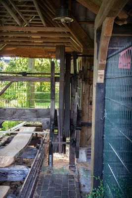 IMG_11072.jpg