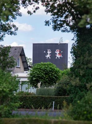 IMG_11076.jpg