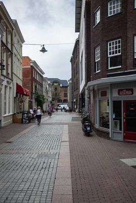 IMG_11142.jpg
