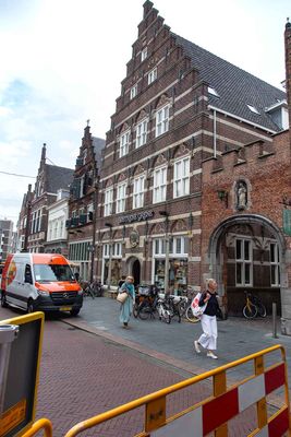 IMG_11153.jpg