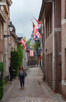IMG_11161.jpg