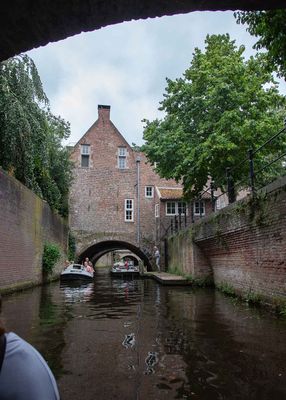 IMG_11169.jpg