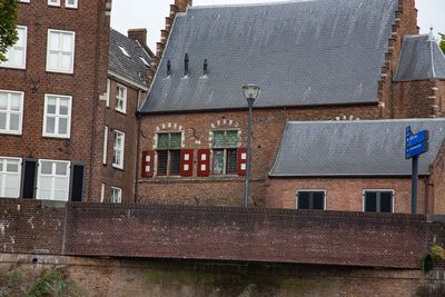 IMG_11196.jpg