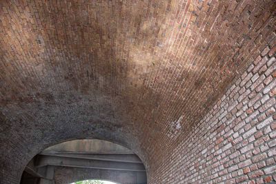 IMG_11212.jpg