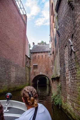 IMG_11226.jpg