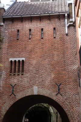 IMG_11227.jpg