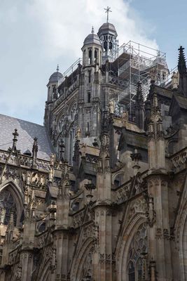 IMG_11260.jpg