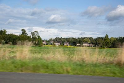 IMG_11269.jpg