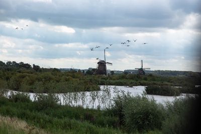 IMG_11278.jpg