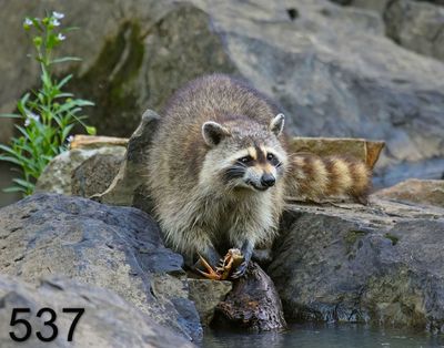 g13/18/7936018/3/175285394.feee94a9.JPEG