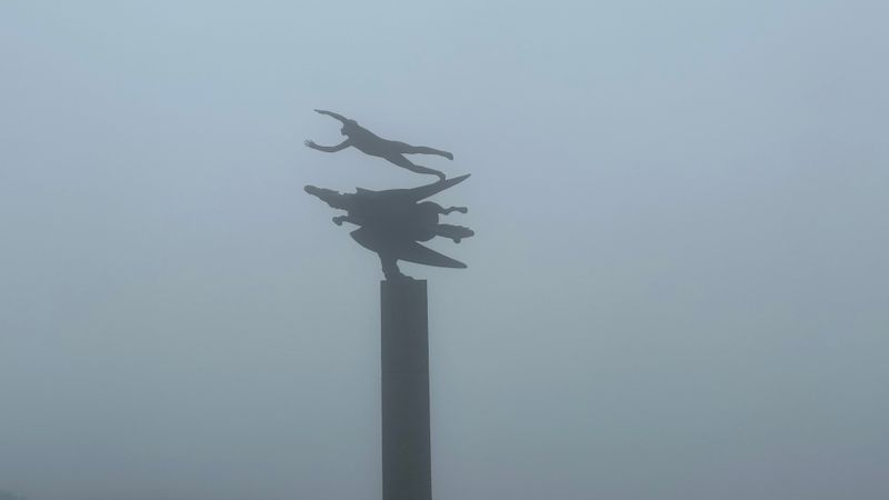 IMG_1329.jpeg